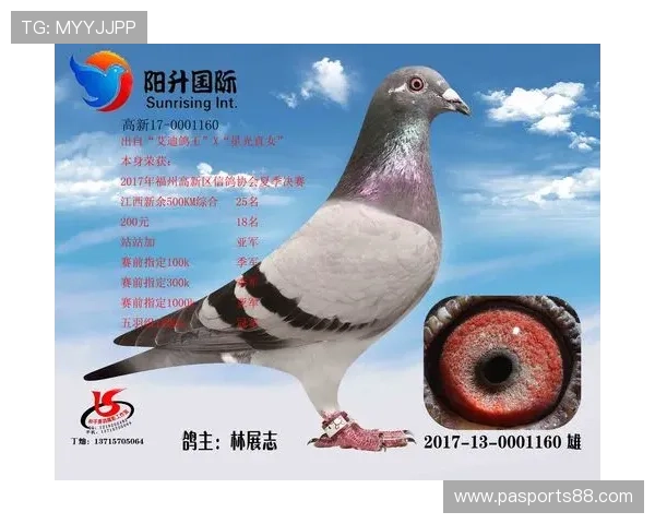 全面支持多设备登录的AG国际登录下载，让娱乐从未如此方便