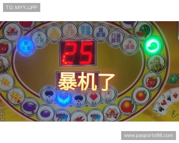 老虎机英文的详细含义及常见用法介绍让你轻松理解老虎机英文的全部内容