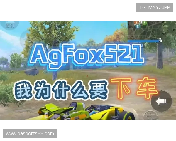 如何选择安全可靠的AG电子游戏开户平台,保障您的资金与个人信息安全 如何选择安全可靠的AG电子游戏开户平台,保障您的资金与个人信息安全